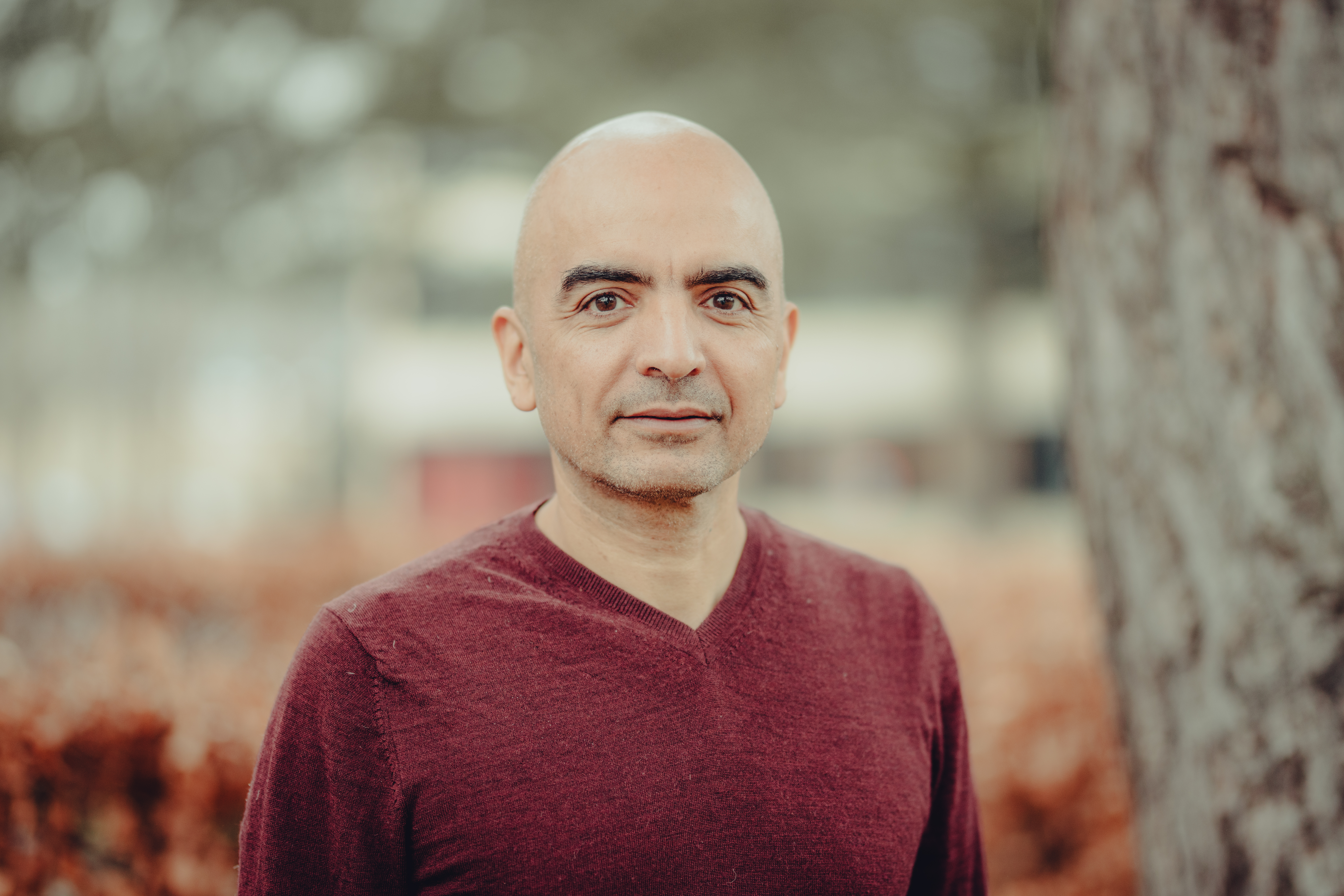 Professor Hamid Nick, DTU Offshore